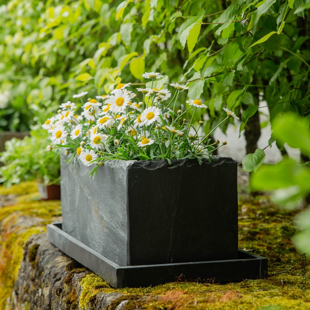 CLIMAQUA Plantenbak Buiten JARDI 50 antraciet