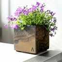 CLIMAQUA Plantenbak Indoor CUBI 13 Roestig