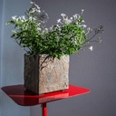 CLIMAQUA Plantenbak Indoor CUBI 13 Roestig