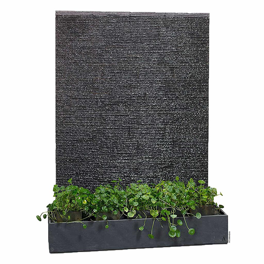 Watermuur leisteen plant LIV WALL by CLIMAQUA